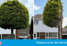 Bức ảnh bất ngờ thu hút sự quan tâm khắp nước Anh