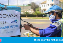 COVAX phân phối vaccine như thế nào?