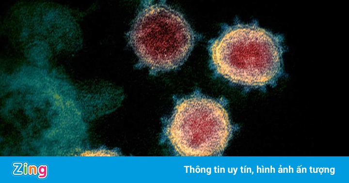 Ca Covid-19 đầu tiên có thể đã xuất hiện ở Trung Quốc từ tháng 10/2019