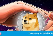 Mất ngôi triệu phú vì Dogecoin sụt giá, nhà đầu tư trẻ vẫn lạc quan
