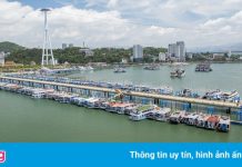 Gần 250 chủ tàu du lịch có nguy cơ phá sản xin ngân hàng giãn nợ