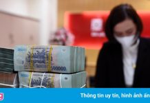 Ngân hàng Nhà nước bơm tiền trở lại sau 4 tháng