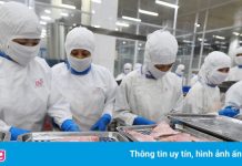 Hai doanh nghiệp cá tra Việt không bị áp thuế chống bán phá giá vào Mỹ