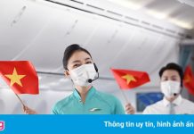 Cổ phiếu Vietnam Airlines tăng giá ngay sau tin được vay 4.000 tỷ đồng