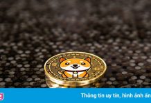 Đồng tiền tương tự Dogecoin tăng phi mã 1.200% một ngày