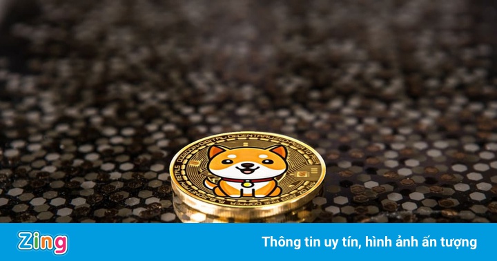 Đồng tiền tương tự Dogecoin tăng phi mã 1.200% một ngày