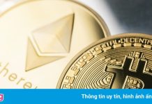 Nhà đầu tư nổi tiếng cảnh báo về ‘cú sụp đổ lịch sử’ của tiền mã hóa