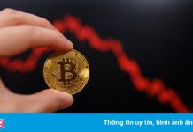 Giá Bitcoin rơi xuống sát 30.000 USD/đồng