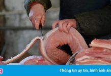 Lợn hơi còn 59.000 đồng/kg, giá thịt tại chợ vẫn cao gấp 3