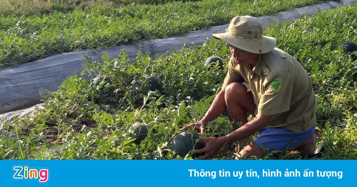Trốn cách ly đi làm ruộng, nông dân bị phạt 5 triệu đồng Trốn cách ly đi làm ruộng, nông dân bị phạt 5 triệu đồng
