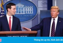 Jared Kushner ra sách về nhiệm kỳ tổng thống của ông Trump