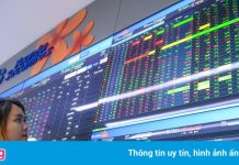 Cổ phiếu nhóm ngành chứng khoán kéo VN-Index tăng gần 10 điểm