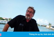 Nơi ẩn náu của John McAfee trước khi vào tù và tự sát