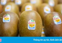Kiwi thuộc về New Zealand hay Trung Quốc?