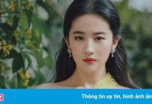 Sự trở lại của Lưu Diệc Phi