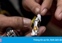 Các băng đảng ma túy trỗi dậy ở Đông Nam Á giữa đại dịch