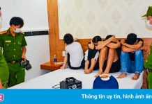 20 người bay lắc trong khách sạn