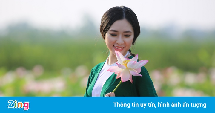 Mùa hoa sen ở Hải Phòng