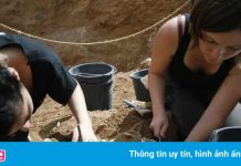 Phát hiện hóa thạch nhóm người cổ đại bí ẩn tuyệt chủng