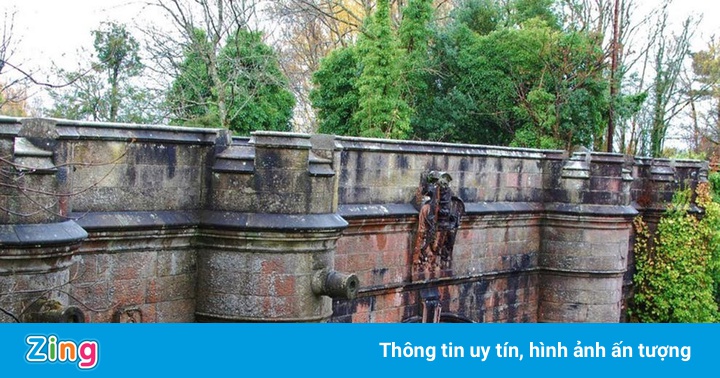 Cây cầu ‘tử thần’ với loài chó ở Anh Cây cầu ‘tử thần’ với loài chó ở Anh