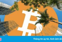 Miami có thể trở thành thủ đô tiền mã hóa thế giới