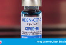 Phát hiện liệu pháp đột phá chữa Covid-19