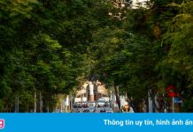 ‘Sau quý I/2022, Việt Nam mới có thể sống chung với dịch Covid-19’