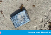 Hàng chục gói hàng lạ dạt vào bờ biển Florida