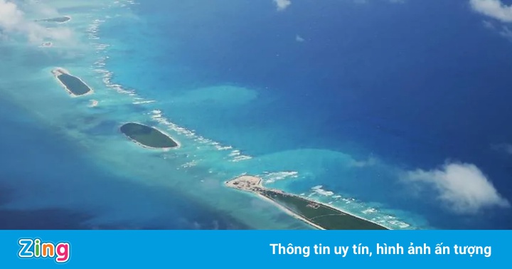 Việt Nam phản đối Trung Quốc gắn thẻ thực vật ở Hoàng Sa Việt Nam phản đối Trung Quốc gắn thẻ thực vật ở Hoàng Sa