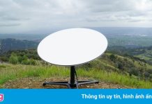 Dịch vụ Internet vệ tinh của Elon Musk ‘sợ’ cây