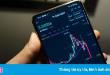 Một loại coin giảm giá hơn 1.000 lần sau vài ngày
