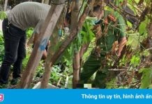 Hai nhóm thanh niên hỗn chiến, một người rơi từ tầng 4 tử vong