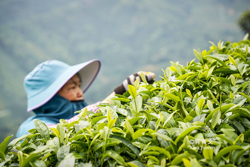 Thiên đường đẹp như chốn tiên cảnh ít người biết đến ở Trung Quốc - 6