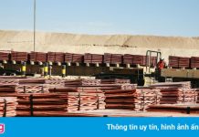 Bão giá hàng hóa thổi bùng làn sóng trộm cướp toàn cầu