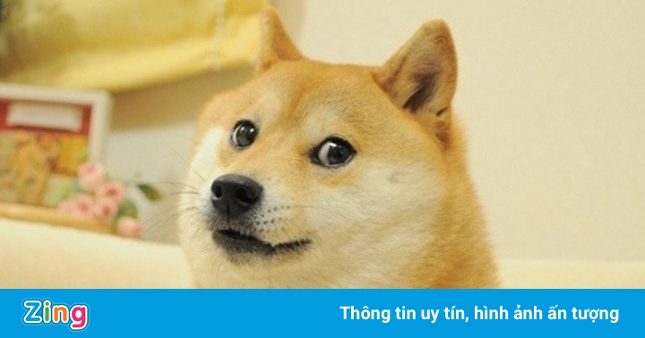 Biểu tượng Dogecoin được bán giá 4 triệu USD Biểu tượng Dogecoin được bán giá 4 triệu USD