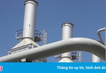 Thành lập Công ty Điện khí Bạc Liêu