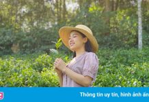 Những nơi được ca ngợi là đệ nhất ở Việt Nam