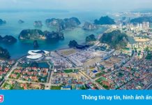 Tỉnh nào ở Việt Nam có nhiều hơn một thành phố?