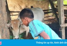 Trưởng phòng GD&ĐT lên tiếng vụ học trò nghèo bị ‘giam’ học bạ