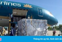 Tiếp nhận 500.000 liều vaccine Vero-Cell của Sinopharm