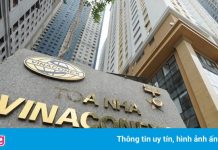 Vinaconex rót thêm hơn 1.200 tỷ đồng vào hai công ty con