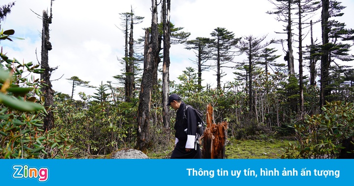 Vua Bhutan đi bộ xuyên rừng đến thị sát chống dịch Covid-19