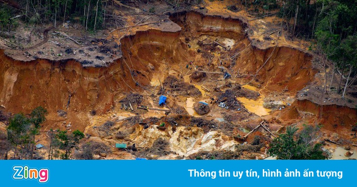 Chính phủ Brazil làm ngơ trước cơn sốt vàng ở rừng Amazon Chính phủ Brazil làm ngơ trước cơn sốt vàng ở rừng Amazon
