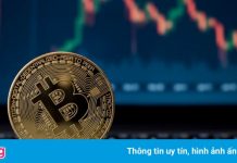 Bitcoin và thị trường tiền mã hóa sẽ thế nào trong 50 năm nữa?