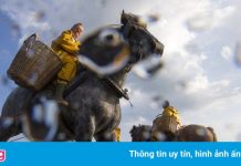 Nghề bắt tôm đang dần mai một ở Bỉ