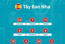 Thụy Sĩ vs Tây ban Nha: De Gea tiếp tục dự bị euro 2020 anh 1
