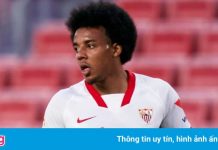 Tottenham và Chelsea lên kế hoạch gia cố hàng thủ