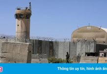 Nhiều người xông vào hôi của căn cứ Mỹ tại Afghanistan