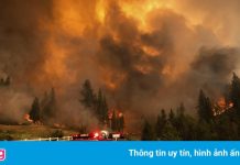 Cháy rừng lan rộng ở Mỹ, hàng nghìn người phải sơ tán