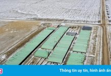 Chính quyền Biden bị kiện